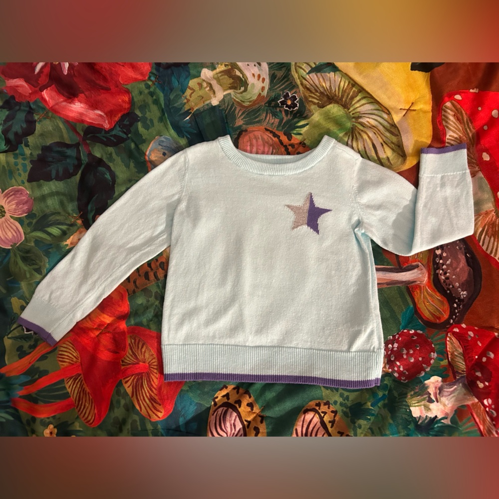 GAP NWOT Light Blue Sweater w/ Purple Details Size 2T
